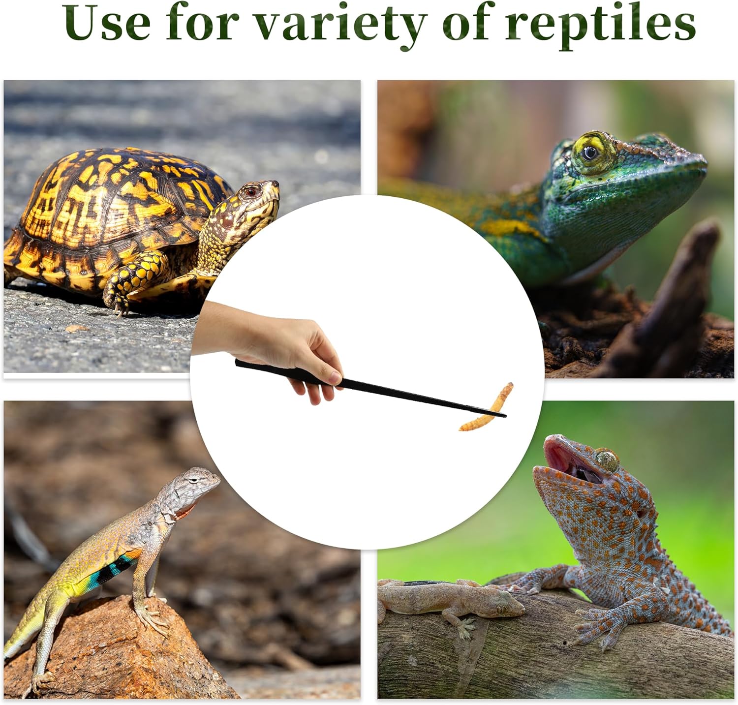 Reptile Feeding Tongs, Stainless Steel Lizard Feeding Tongs, Aquarium Straight Feeding Tweezers for Reptiles with Rubber Tip, Terrarium Feeding Tong for Gecko, 14.96" Length, Black