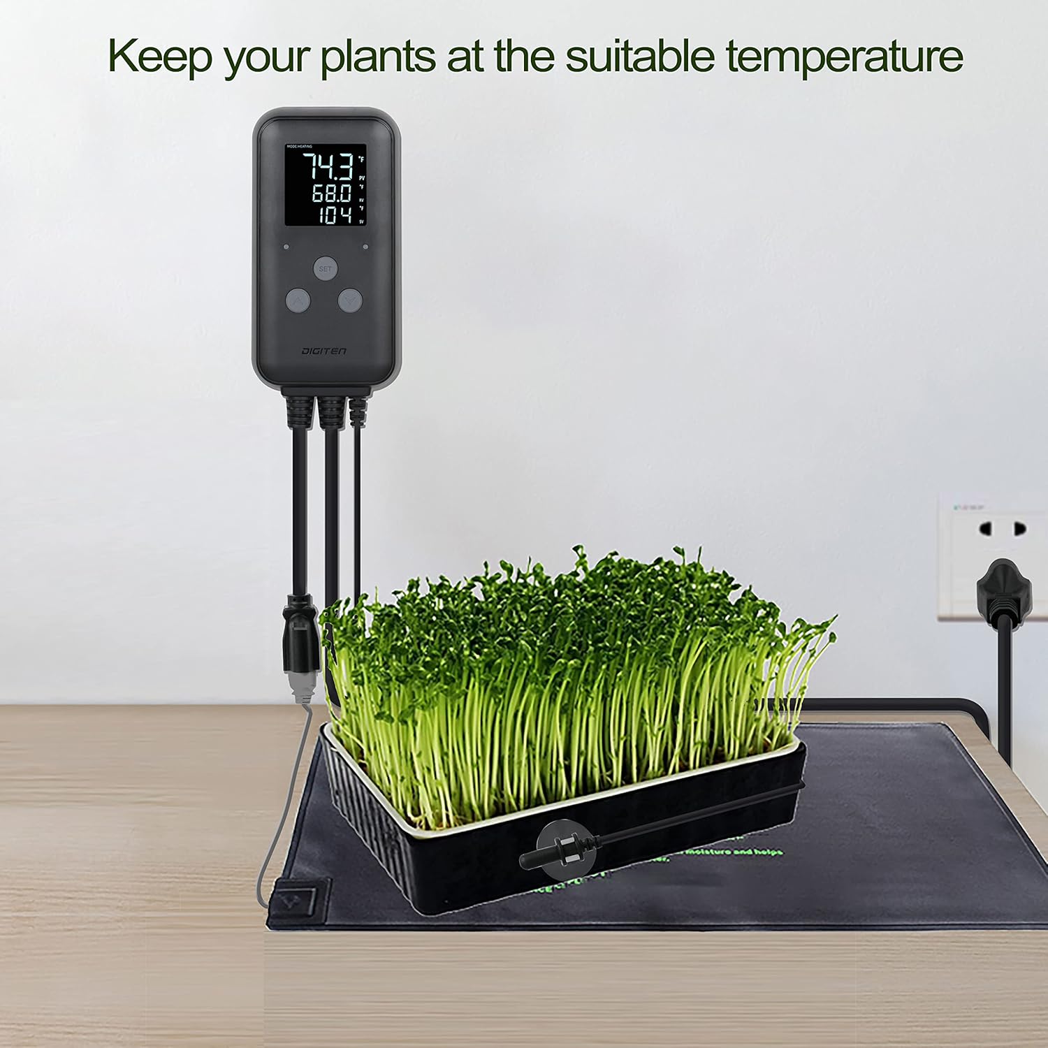 Reptile thermostat, Greenhouse Temperature Controller, Digital Waterproof Thermostat for Home Brewing Fermentation Breeding Incubation Greenhouse Terrarium, Heating & Cooling Outlet 110V 15A 1650W