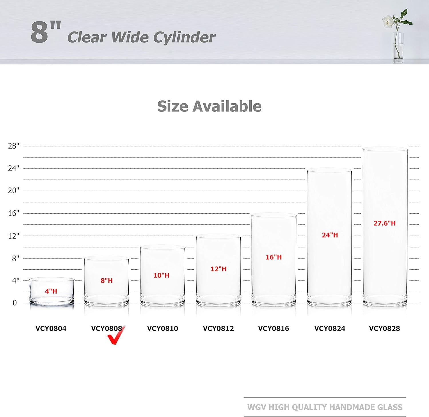 WGV Cylinder Vase, Width 8", Height 8", Clear Wide Large Diameter Flower Glassware, Floral Container, Planter Terrarium for Wedding Party Event, Home Accent Decor, 1 Piece