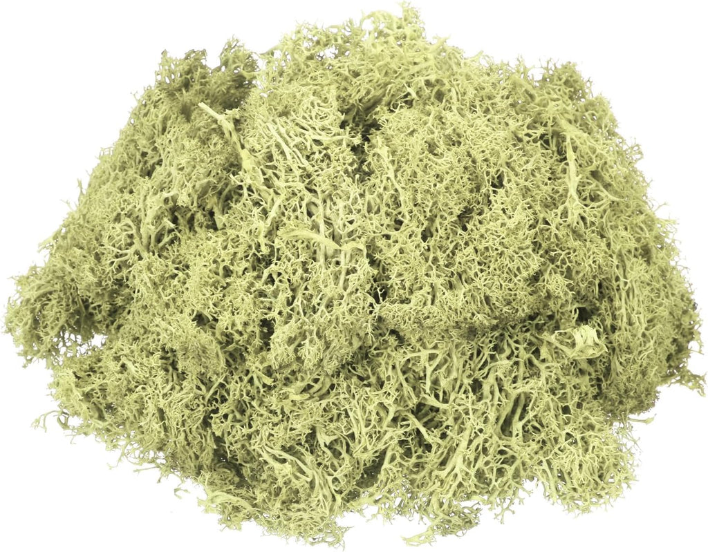 MECCANIXITY 4.6oz Preserved Reindeer Moss, Light Bright Green Decorative Artificial Fake Moss for Potted Plants Indoor Crafts Lichen Centerpieces Decor