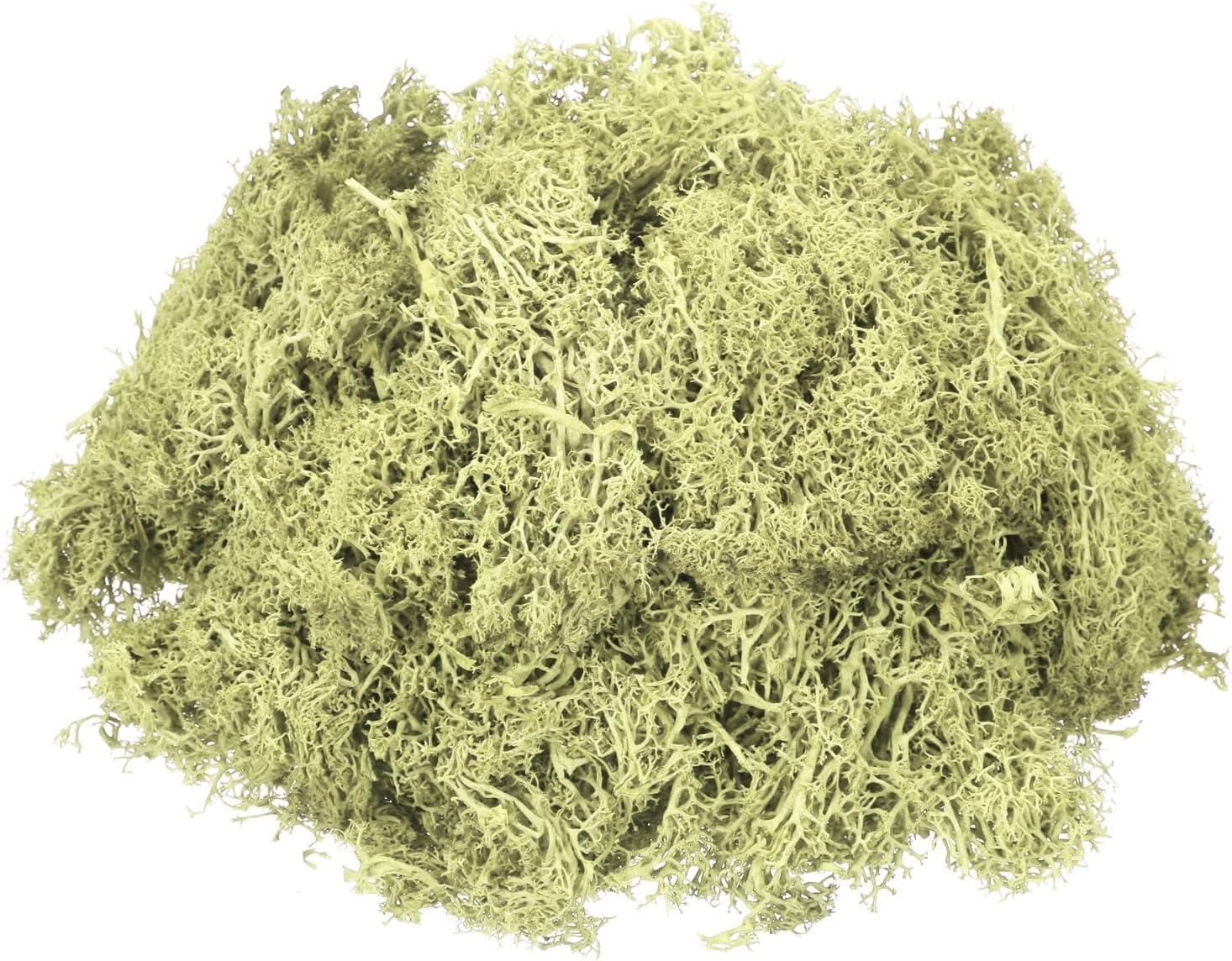 MECCANIXITY 3oz Preserved Reindeer Moss, Light Bright Green Decorative Artificial Fake Moss for Potted Plants Indoor Crafts Lichen Centerpieces Decor