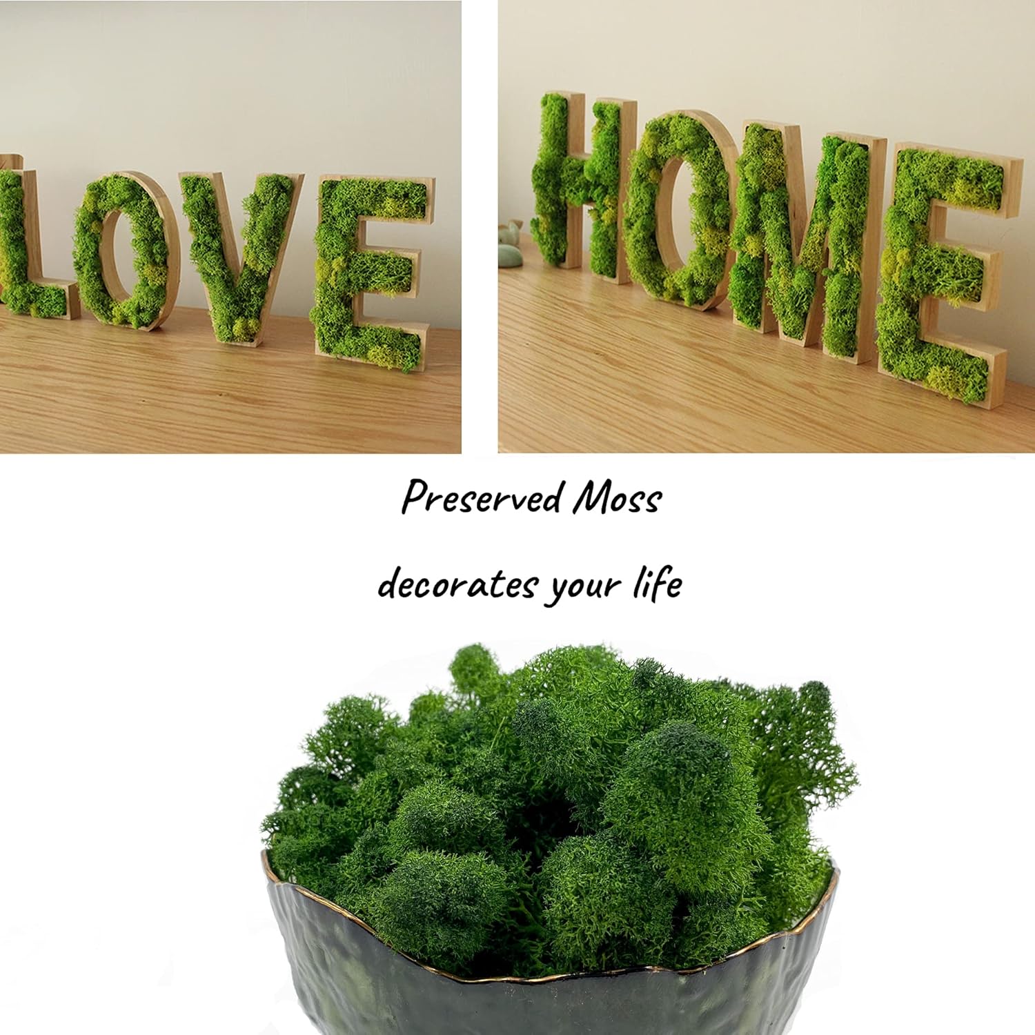Moss Preserved Artificial Moss 8.8 oz Natural Fresh Green Moss for Craft Arts Floral Project Wall Decor Table Decor Wedding Centerpieces Garden Terrariums Decoration