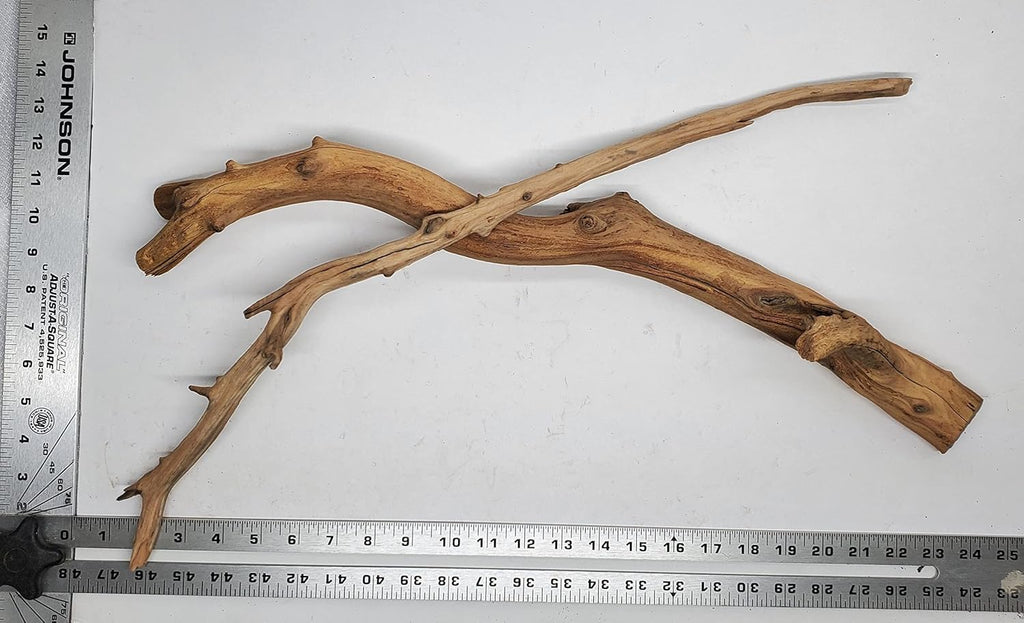 Josh's Frogs Manzanita Wood (Large)