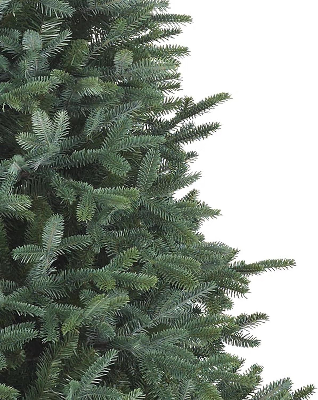 Balsam Hill European Silver Fir - Elegant Artificial Christmas Tree with True Needle Foliage Available Unlit or with LED Clear Lights, Unlit, 8'