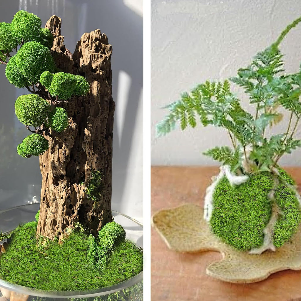 2 Pcs Preserved Sheet Moss for Potted Plants 2 sq.ft. Dried Natural Preserved Mat Green Moss Sheets for Planters Crafts Woodland Decor Garden Party Wall Art DIY Project Light Green