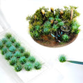 Warmtree 20 Pcs Static Grass Bushy Tufts Lowland Shrubs Scenery DIY Miniature for Train Landscape Railroad Scenery Sand Military Layout Model War Gaming Terrain(Blue)