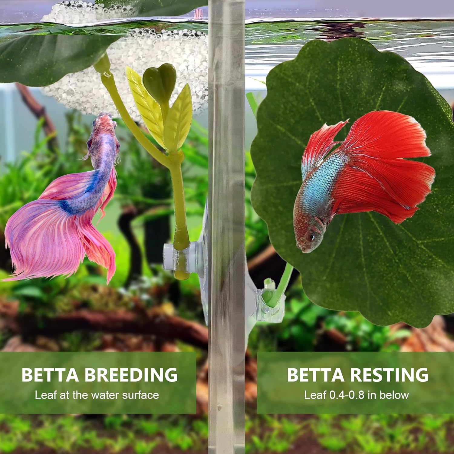 Betta Hammock & Fish Toys Set, 9pcs Betta Leaf Hammock Suction Cup Design Fish Tank Aquarium Decoration Fish Leaf Pad, Natural Habitat for Sleeping Resting Hiding Playing Breeding Spawn