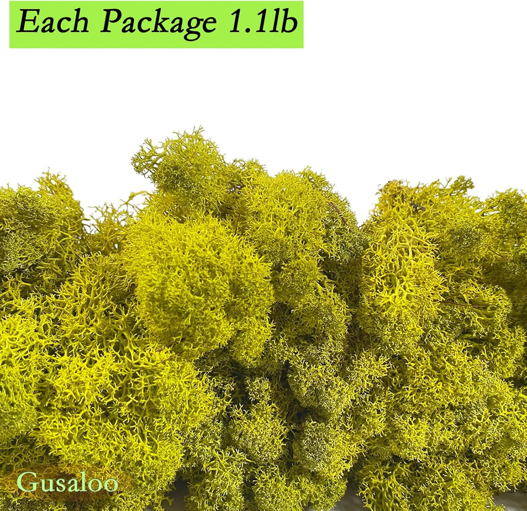 Preserved 1.1lb Moss Artificial Moss Natural Fresh Green Moss for Craft Handicraft Arts Floral Project Wall Decor Table Decor Wedding Centerpieces Garden Terrariums Decoration