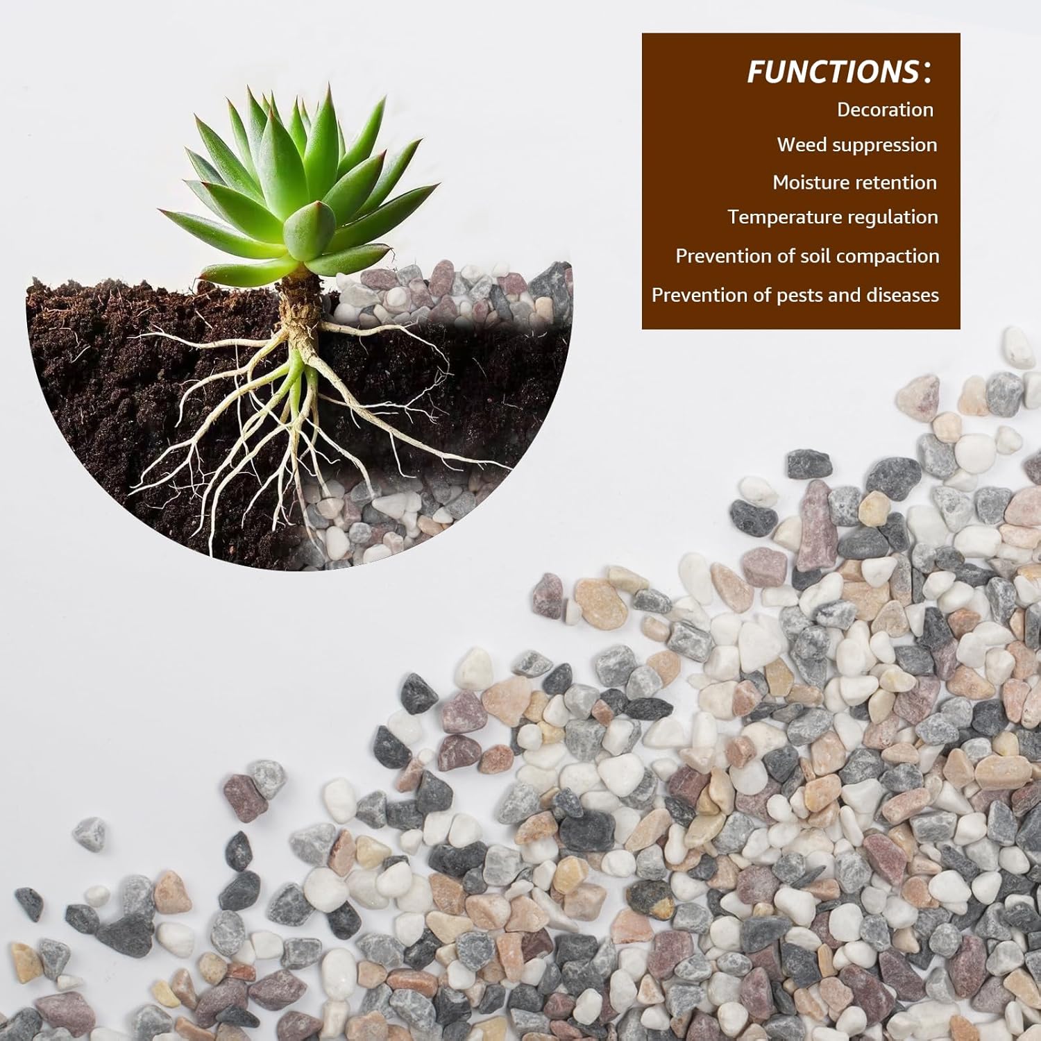 Natural Mixed Color Pea Gravel Pebbles, 10lbs (1/5 Inch) Decorative Stones for Succulents, Indoor Plants, Vases, Aquariums, Top Dressing, and Outdoor Landscaping