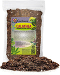 Elevate Your Space with Gardenera's Organic Potting Mix - Tailored for Thriving Calathea Plants and Captivating Leaves - 2 Quart