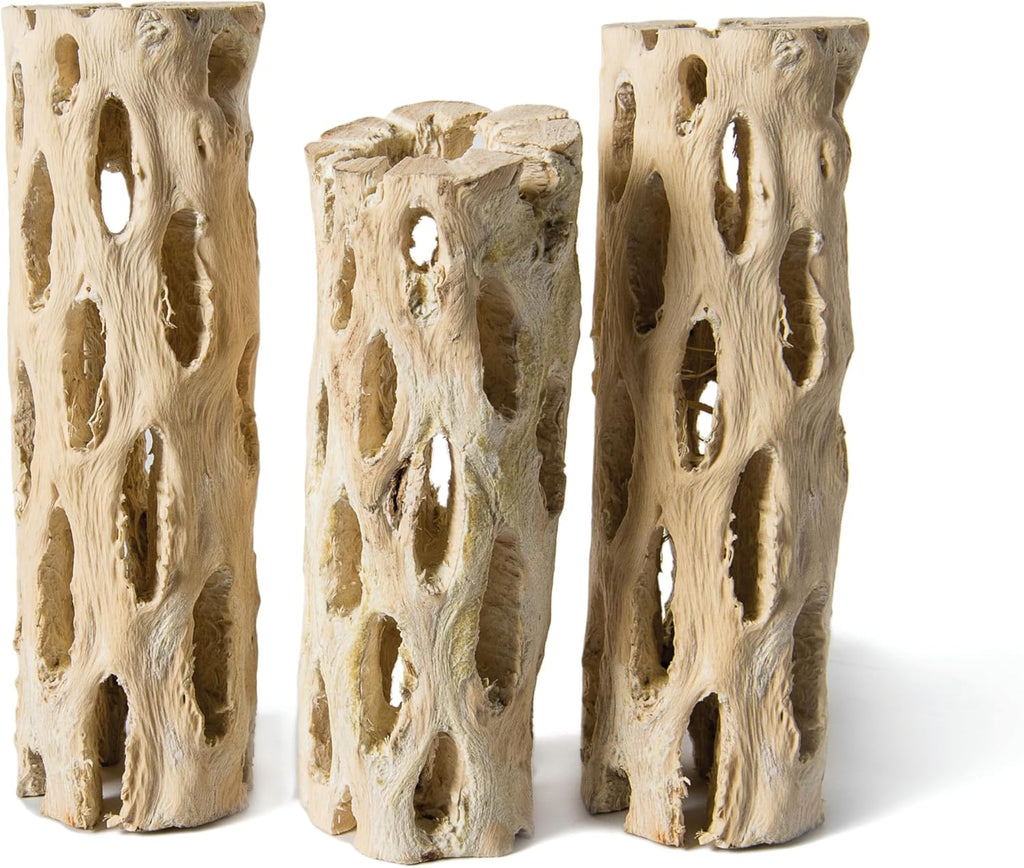 Galapagos 05270 Cholla Wood for Aquarium ,(pack of 3)