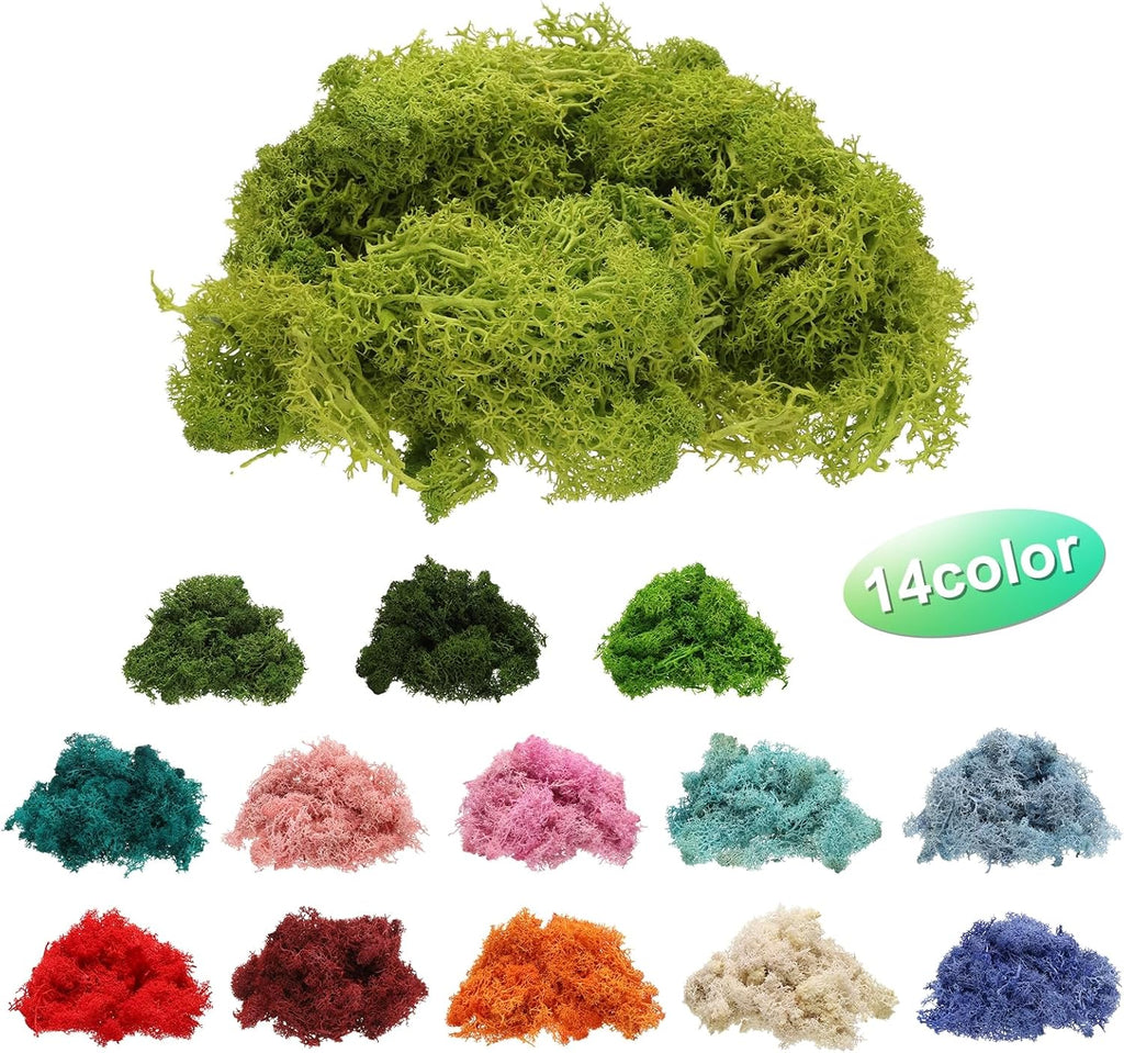 uxcell Preserved Reindeer Moss, 4 OZ Fake Moss for Crafts Artificial Dried Moss for Decoration, Craft, Terrariums, Potted Plants, Centerpieces Fairy Gardens (Chartreuse)