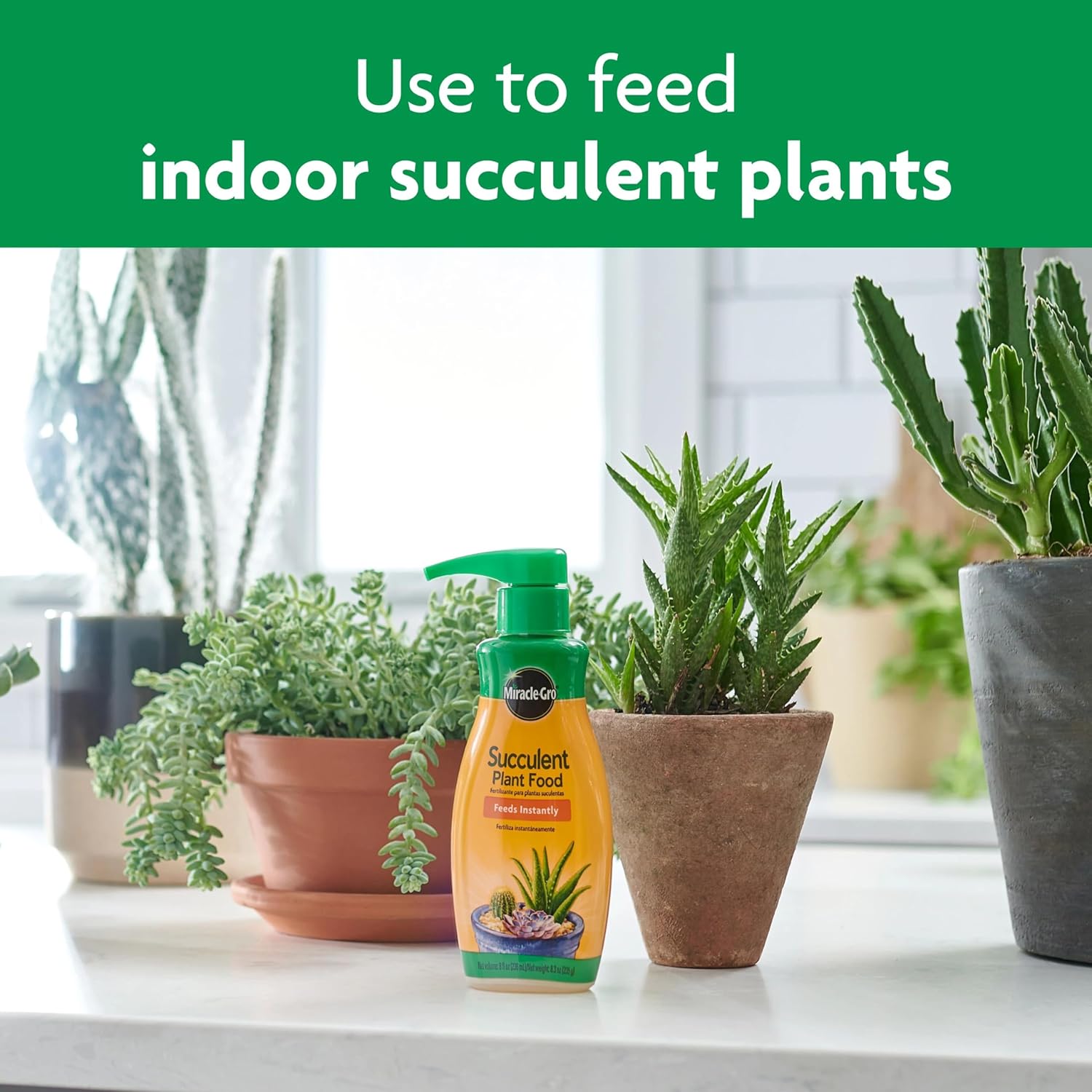 Miracle-GRO Succulent Plant Food, Liquid Plant Food for Indoor Succulents, Cacti, Jade Plants, Aloe Vera and More, 8 oz., 3-Pack