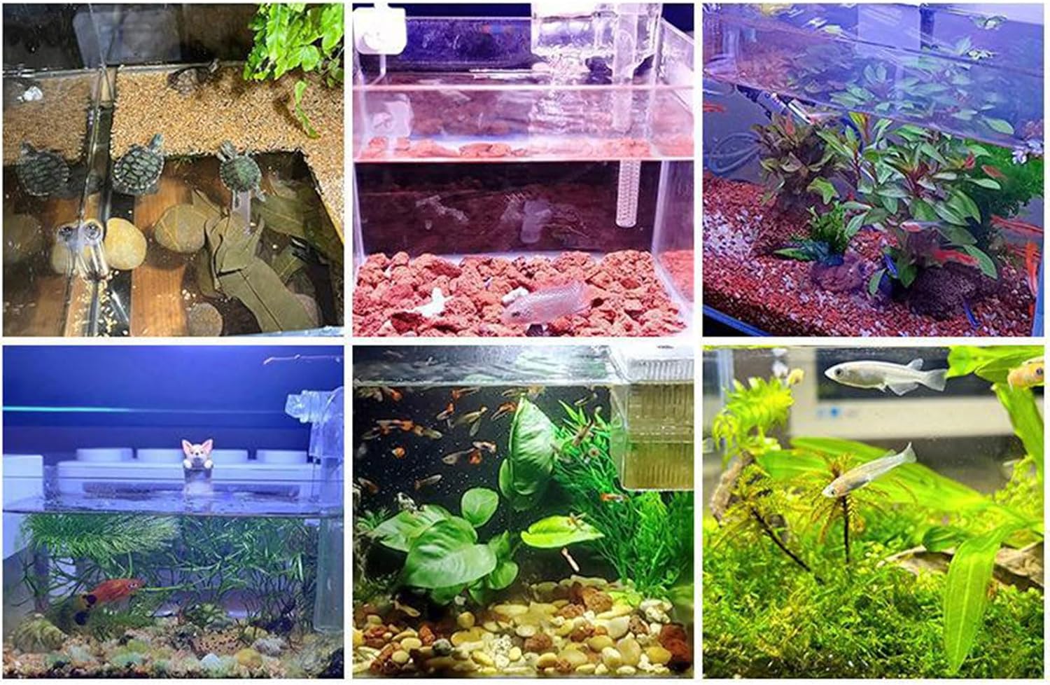 Lamps, Small Aquarium Fish Tank Led Light with USB Interface Clip On for Plant Aquarium