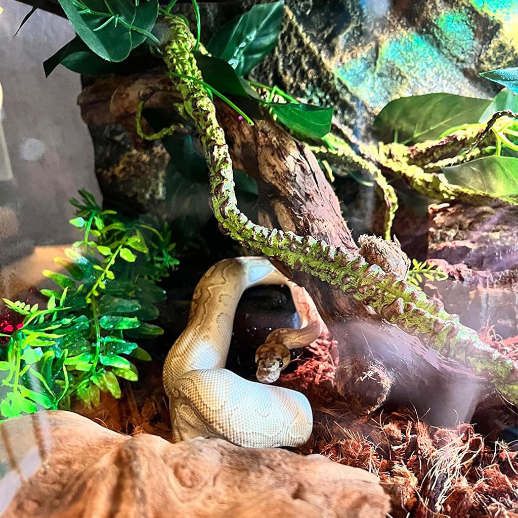 VCEPJH Medium Reptile Vines Thick Terrarium Plants 118 Inches Long Flexible Climbing Branch Lizard Tank Accessories Greenery Habitat Decor for Bearded Dragon Chameleon Gecko Frog Snake (M)