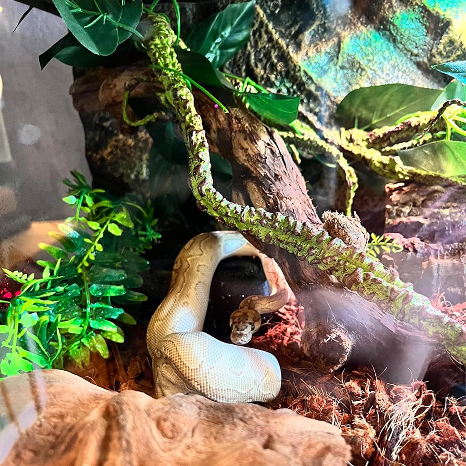 VCEPJH Medium Reptile Vines Thick Terrarium Plants 118 Inches Long Flexible Climbing Branch Lizard Tank Accessories Greenery Habitat Decor for Bearded Dragon Chameleon Gecko Frog Snake (M)