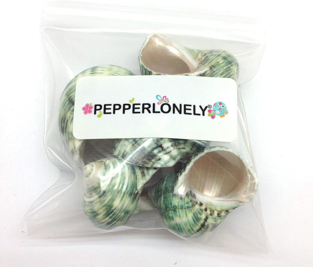 PEPPERLONELY 5 PC Natural Hermit Crab Shells, Polished Green Turbo Sea Shells, 1-3/4 Inch ~ 2-1/4 Inch