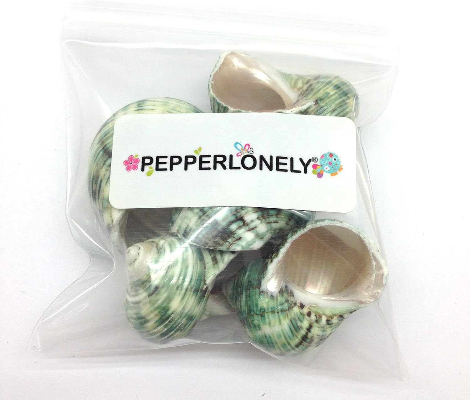 PEPPERLONELY 5 PC Natural Hermit Crab Shells, Polished Green Turbo Sea Shells, 1-3/4 Inch ~ 2-1/4 Inch