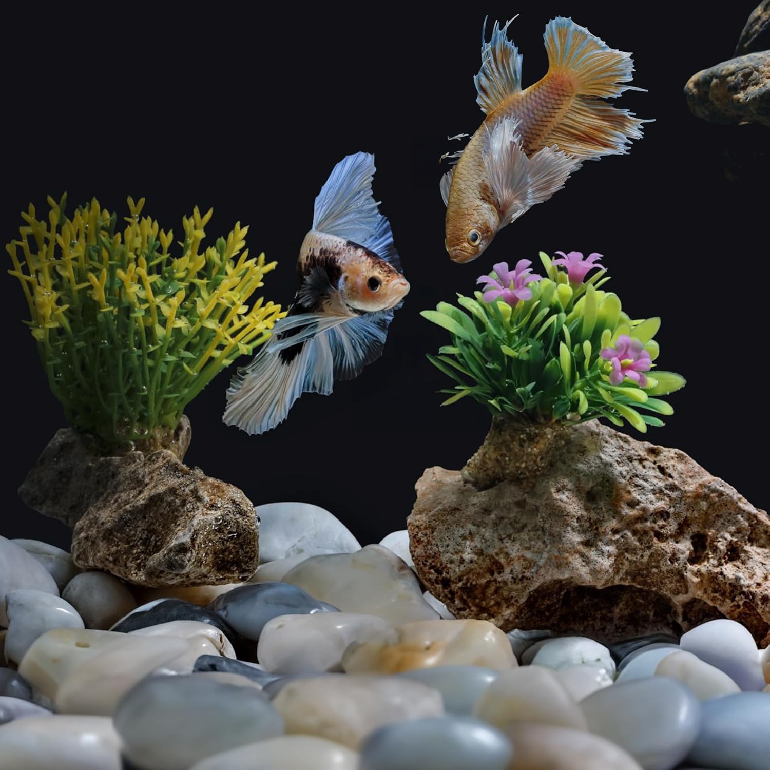 5lbs White Pebbles for Indoor Plants, 1-2Inch Natural River Rocks for Aquarium, High Polished Decorative Stones for Vase Filler Fish Tank Landscaping Garden