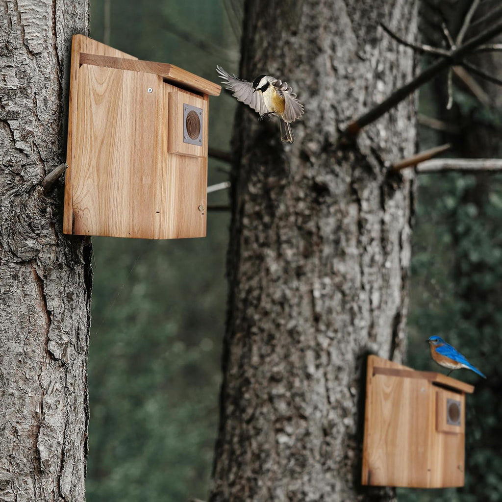 CARTMAN 0.6 Inch Thick Wood Bird Houses with Stainless Steel Guard, Hummingbird House for Outside Clearance Garden Country Cottages