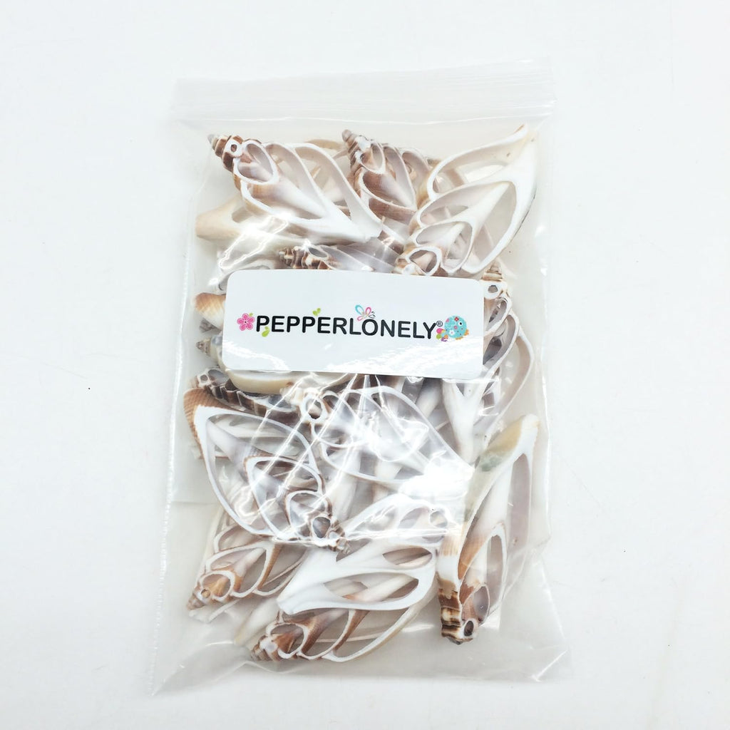 PEPPERLONELY 20 PC Center Cut Strombus Canarium Sea Shells, 2 Inch ~ 2-1/2 Inch