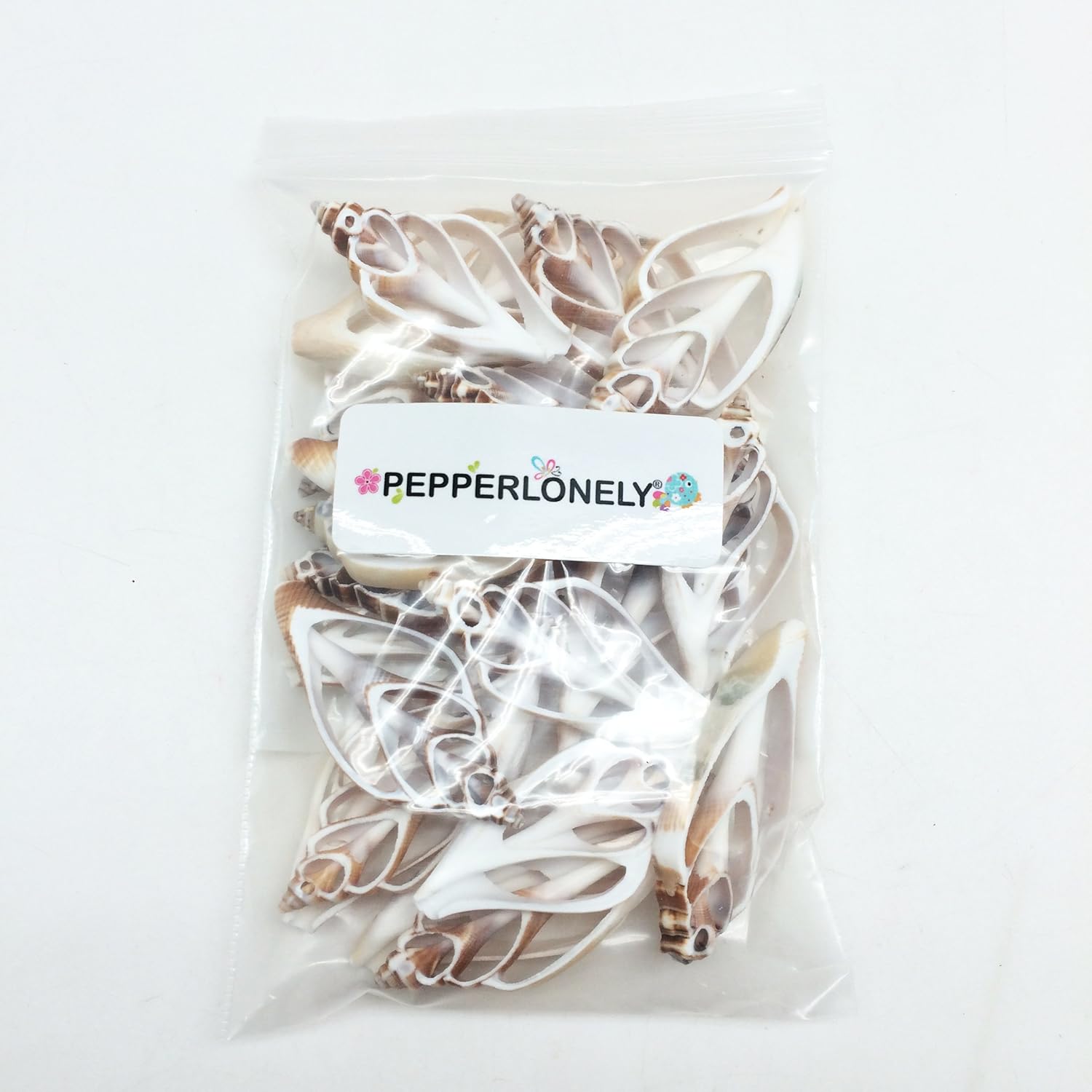 PEPPERLONELY 20 PC Center Cut Strombus Canarium Sea Shells, 2 Inch ~ 2-1/2 Inch