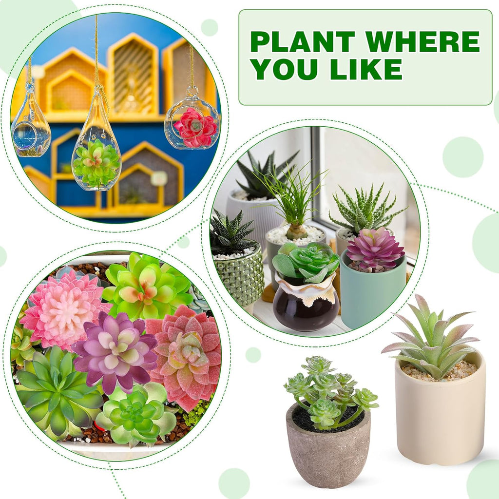 WILLBOND 50 Pcs 50 Pcs Bulk Mini Artificial Succulents Plants Assorted Unpotted Realistic Plants Fake Textured Succulent Picks Realistic Plastic Cactus Stems for Garden Home Decor (Large Style)
