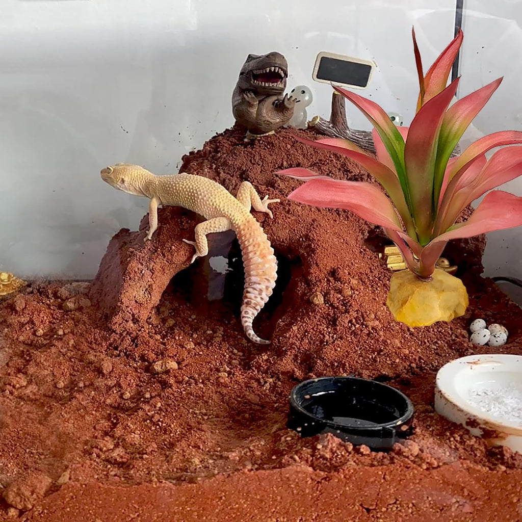 Woyrise Reptile Plants Succulent, Artificial Desert Plant for Terrarium Decor, Bearded Dragon Tank Accessories fit Gecko Lizard Chameleon Ball Python Snake - Guzmania lingulata