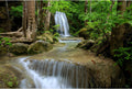 Waterfall Aquarium Background Natural Jungle Rainforest Landscape Terrarium Background Jungle Waterfall Style Stream Fish Tank Background Falls Forest Rocks Reptile Background Vinyl 48x24in