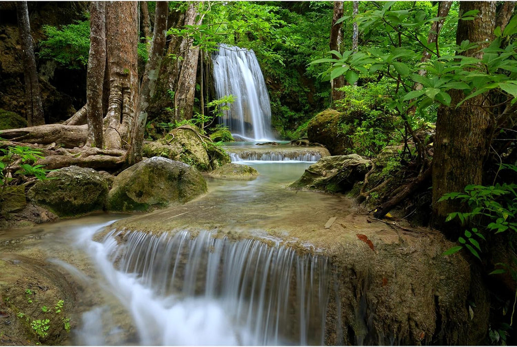 Waterfall Aquarium Background Natural Jungle Rainforest Landscape Terrarium Background Jungle Waterfall Style Stream Fish Tank Background Falls Forest Rocks Reptile Background Vinyl 24x12in