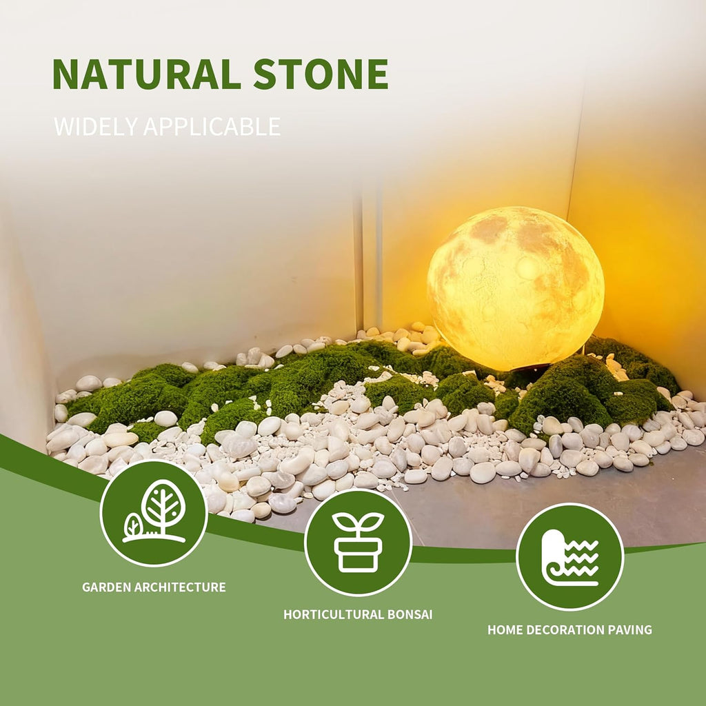 40lbs Large White River Rocks for Garden, 2-3 Inch Smooth Natural Pebbles for Landscaping, Aquarium, Fish Tank, Flower Pots, Water Fountains, Pathways, Backyard Decor
