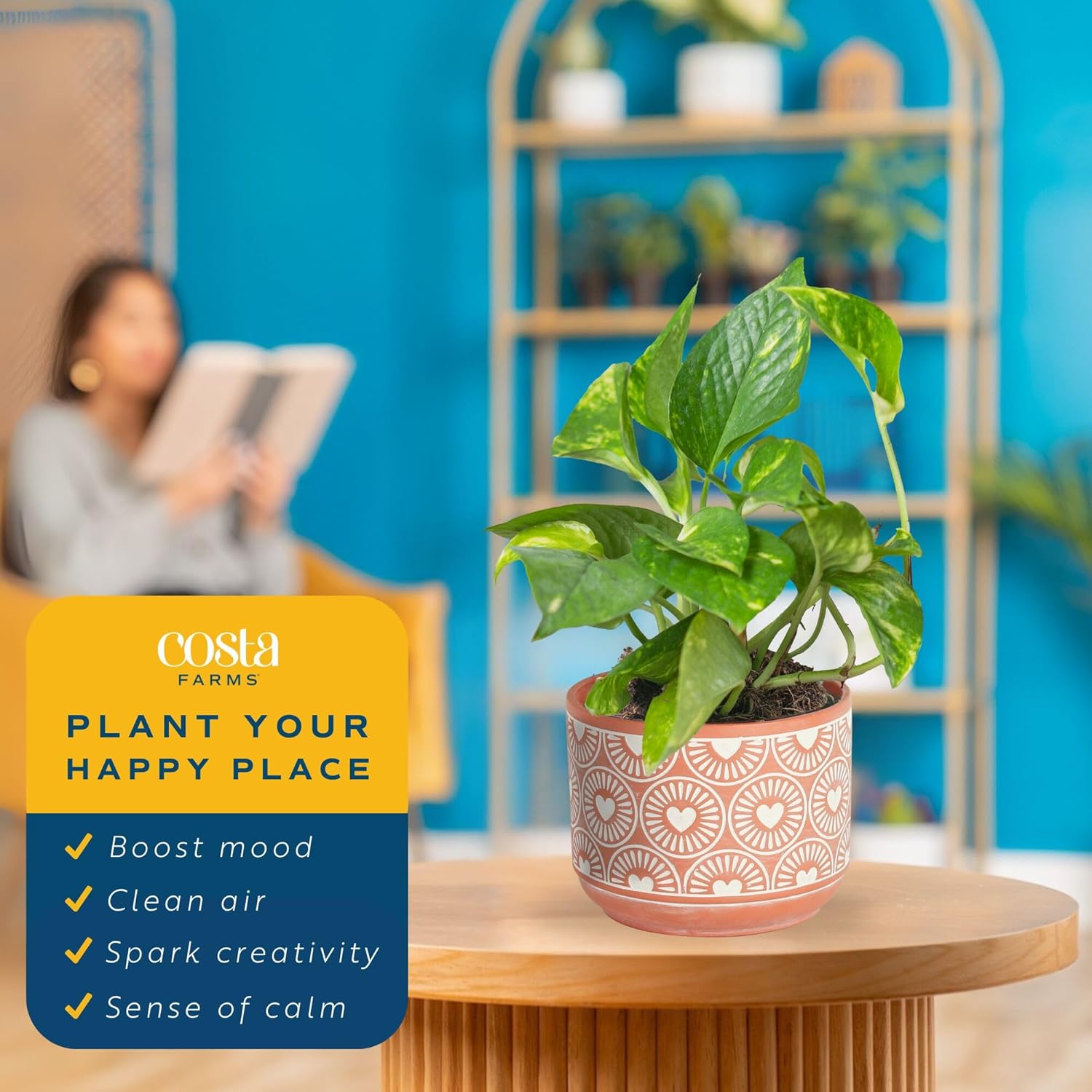 Costa Farms Golden Pothos Live Plant, Easy to Grow Vining Live Indoor Houseplant in Décor Planter, Real Housewarming Plant Gift, Home or Room Decor, 8-Inches Tall