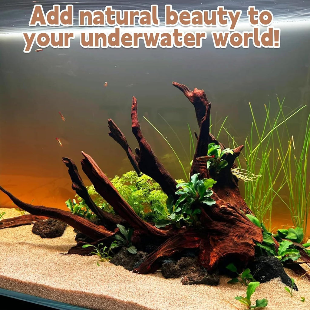 PINVNBY Natural Driftwood for Aquarium Decor Fish Tank Decorations Reptile Decor Driftwood Decor, 3 Pieces 7"-11" Assorted Driftwood Branch
