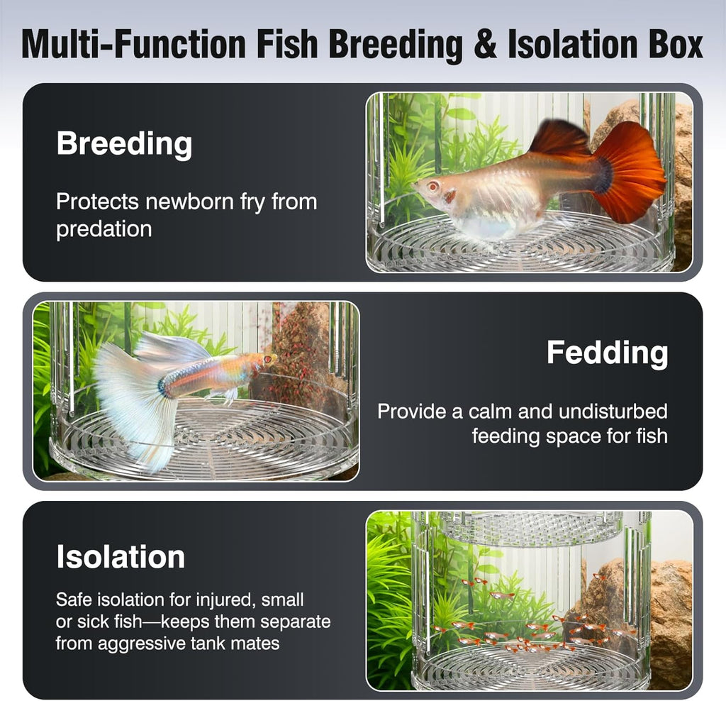 Floating Acrylic Breeder Box for Fish Tank - Aquarium Isolation Separator Hatchery Incubator for Guppy, Betta, Clownfish, Coral, Baby & Injured Fish