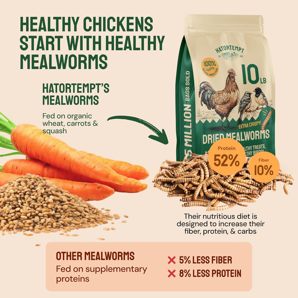 Hatortempt Bulk Dried Mealworms - 10 Lb Bag - Non-GMO Dried Mealworms for Chickens, Ducks & Wild Birds - High-Protein Chicken Feed & Bird Food