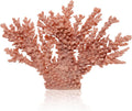 Coral Coastal Decor, Artificial Resin Coral Reef Statue, Coastal Room Decor Beach Decorations for Home Bathroom Bedroom,Ocean Themed Decor for Office,Aquarium,13.5''Lx10''H, 1008P, Pink;