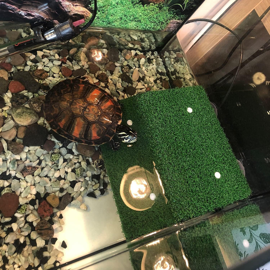 HIERYAN Turtle Basking Platform, Tortoise Ramp Reptile Tank Ladder Resting Terrace, Tortoise Ramp Reptile Ladder Resting Terrace Fish Tank Aquarium Turtle Dock Floating Décor, Large
