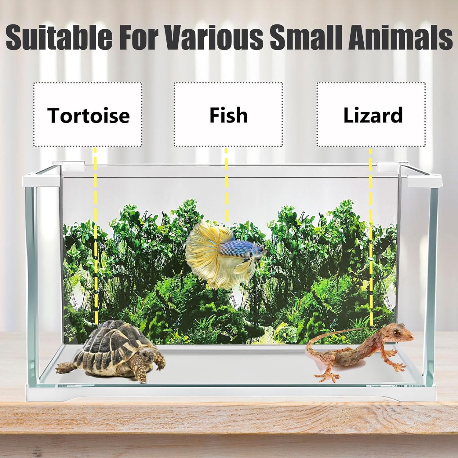 Fish Tank Background Sea Anemone Coral Theme Aquarium Background Poster Fish Backdrop for Aquarium Wallpaper Double-Sided Fish Tank Sticker Paper