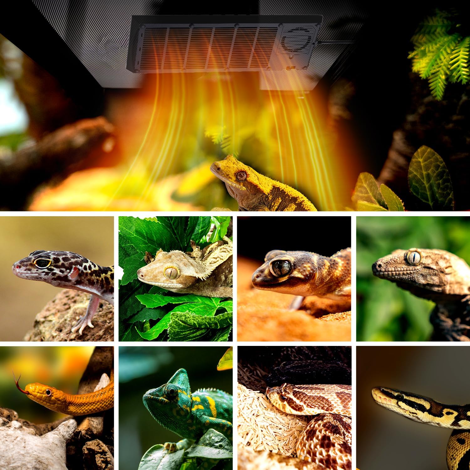 Oiibo Reptile Heat Panel Adjustable Temperature Reptiles Heating Panel Fan for Terrariums, Energy Efficient & Non-Light Reptile Heating Plate for Snakes, Crested Gecko, Leopard and Amphibians