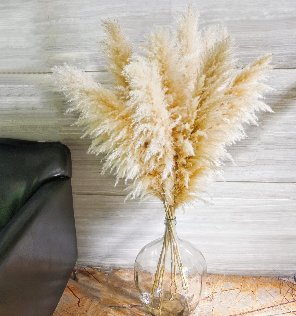 10 Stems 46" inch Dried Pampas Grass Decor Tall, Large Pompas Grass, Boho Neutral Home Decor Bouquet, Fluffy Pampass Grass for Floor Vase Wedding Floral Arrangements Wall Farmhouse Table Decor