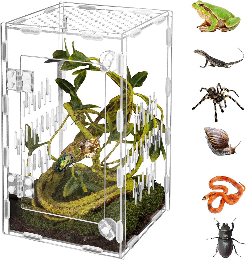 Acrylic Reptile Terrarium Easy Assembly, 360° Clear & Keep Pet Secure Design for Jumping Spiders, Tarantulas, Geckos Scratch-Resistant Large Ventilated Habitat Terrarium for Arachnids 9.8*5.9*5.9in