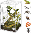 Acrylic Reptile Terrarium Easy Assembly, 360° Clear & Keep Pet Secure Design for Jumping Spiders, Tarantulas, Geckos Scratch-Resistant Large Ventilated Habitat Terrarium for Arachnids 9.8*5.9*5.9in