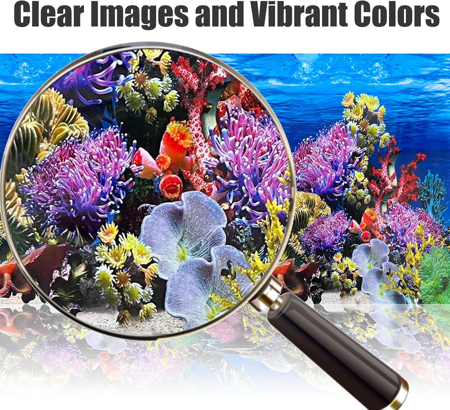Fish Backgrounds Paper Double Sides Undersea Aquarium Background Poster Colorful Sea Anemone Fish Tank Background Sticker Decorations 16"x 33"