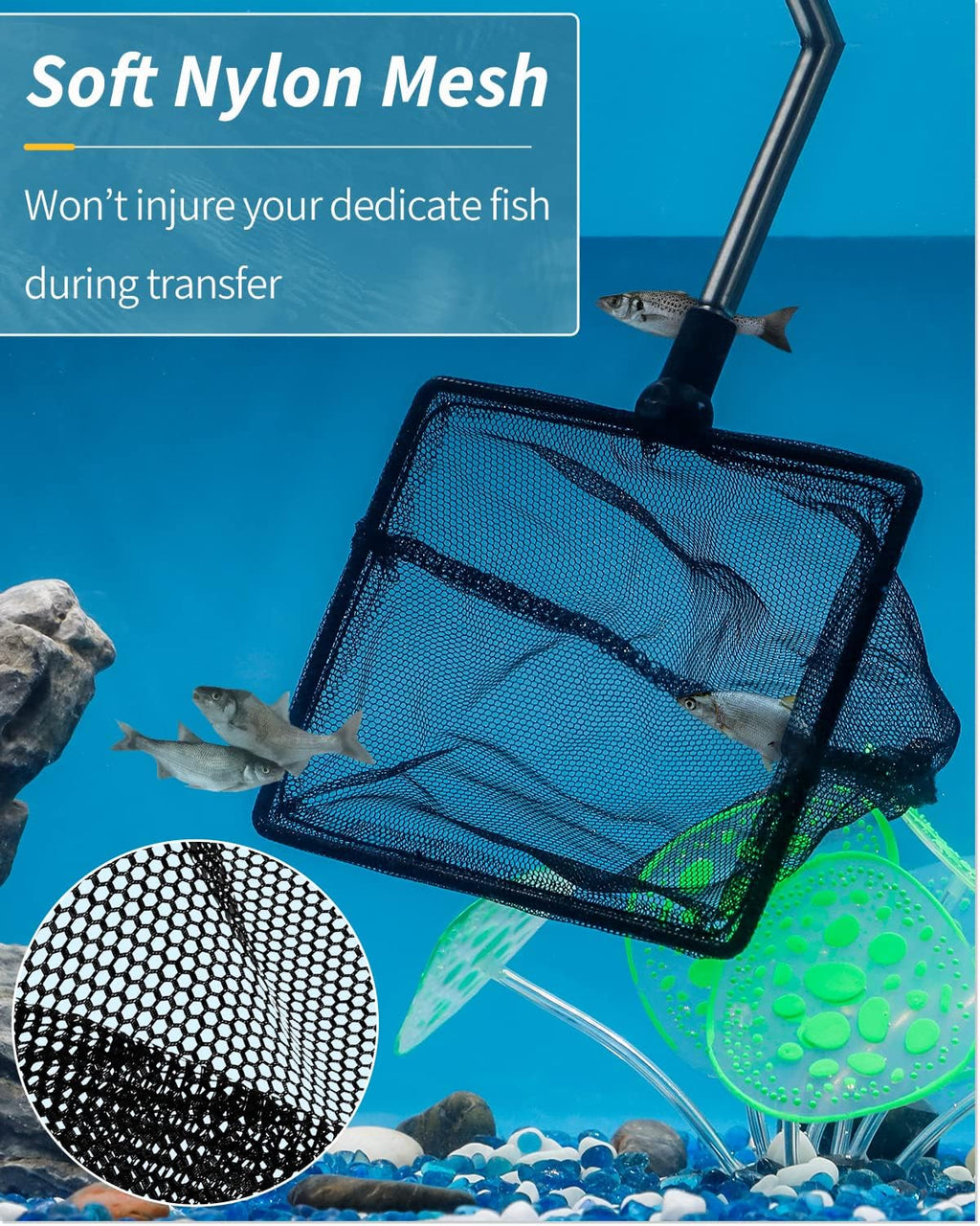 Pawfly Aquarium Fish Net with Extendable 9-24 Inch Long Handle for Betta Fish Tank Small Koi Pond and Pool