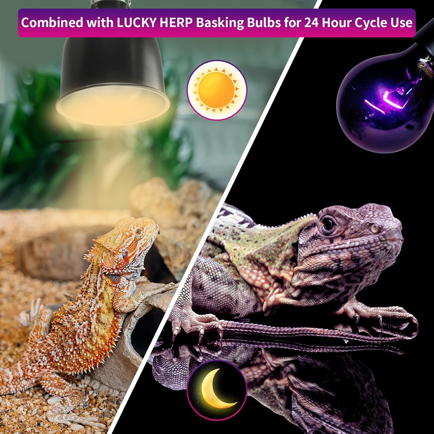 LUCKY HERP Reptile Heat Lamp 75W 2 Pack, Reptile Night Heat Bulb, Reptiles & Amphibians Basking Spot Light Bulb for Bearded Dragon, Lizard, Snake, Turtle, Chameleon