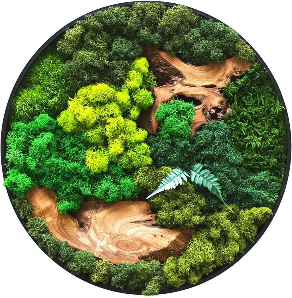 vadmepiop Natural Preserved Moss Wall Art with Real Wood Frame, Handcrafted Maintenance-Free Moss Wall Panel for Home Decor, Office, Restaurant, Bar & Cafe (Round, 11.81in)