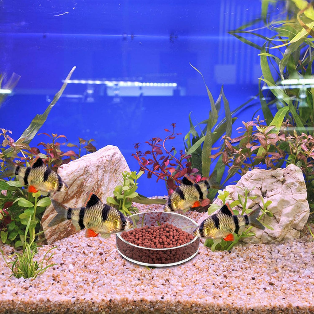 Aquarium Shrimp Feeder Dish Round Clear Fish Tank Feeding Dish Bowls (65mm)