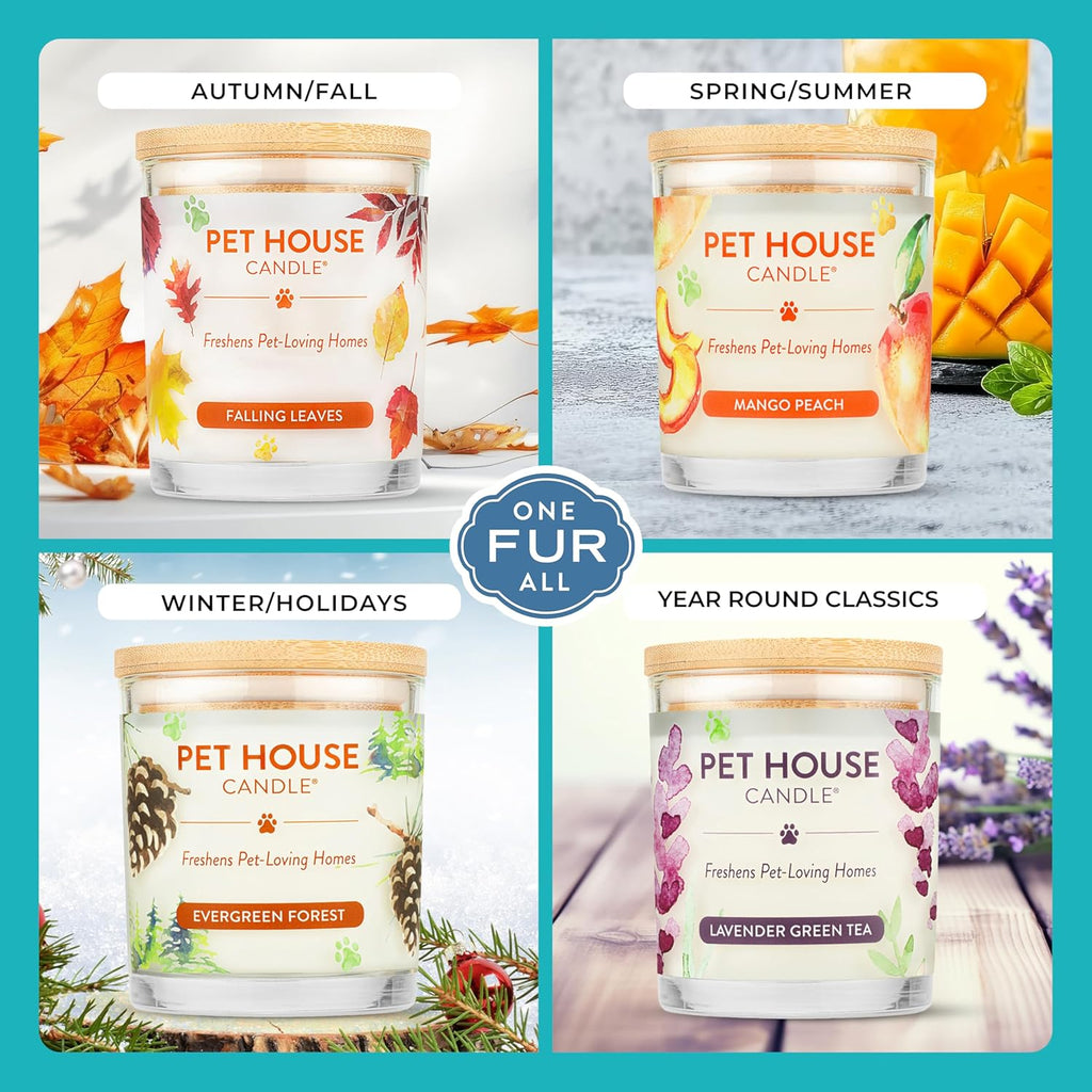 One Fur All Pet House Candle Plant-Based/Soy - Clean Burning Scented, Long Lasting Pet Odor Candle for Home - Mediterranean Sea