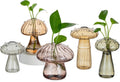 Hewory Glass Mushroom Propagation Stations: Set of 5 Unique Propagation Jars Glass Planter for Indoor Plants Home Decor - Amber Mushroom Vase Christmas Birthday Gifts for Plant Lovers Women Girls