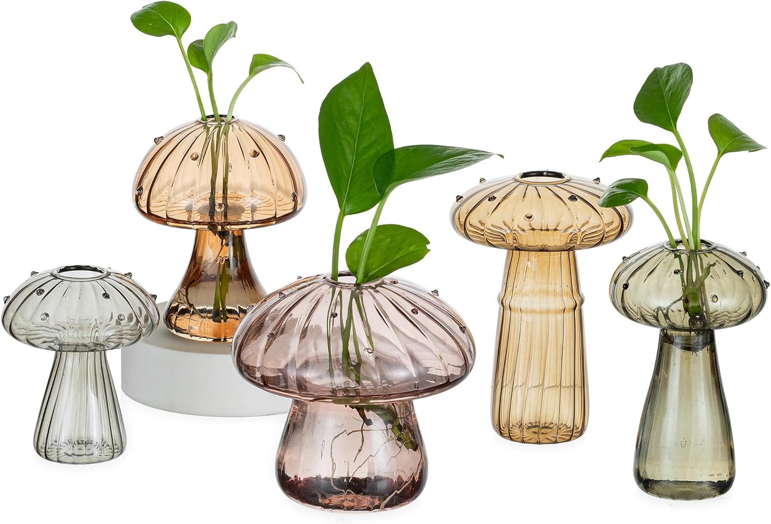 Hewory Glass Mushroom Propagation Stations: Set of 5 Unique Propagation Jars Glass Planter for Indoor Plants Home Decor - Amber Mushroom Vase Christmas Birthday Gifts for Plant Lovers Women Girls